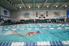 Swim vs Bentley  Wheaton College Swimming & Diving vs Bentley University. - Photo by Keith Nordstrom : Wheaton, Swimming & Diving